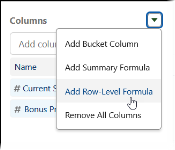 Screenshot showing columns picklist with add row level formual selected